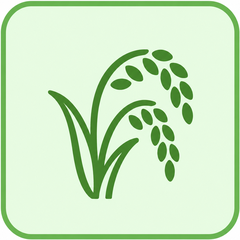 Traditional Rice & Millets icon