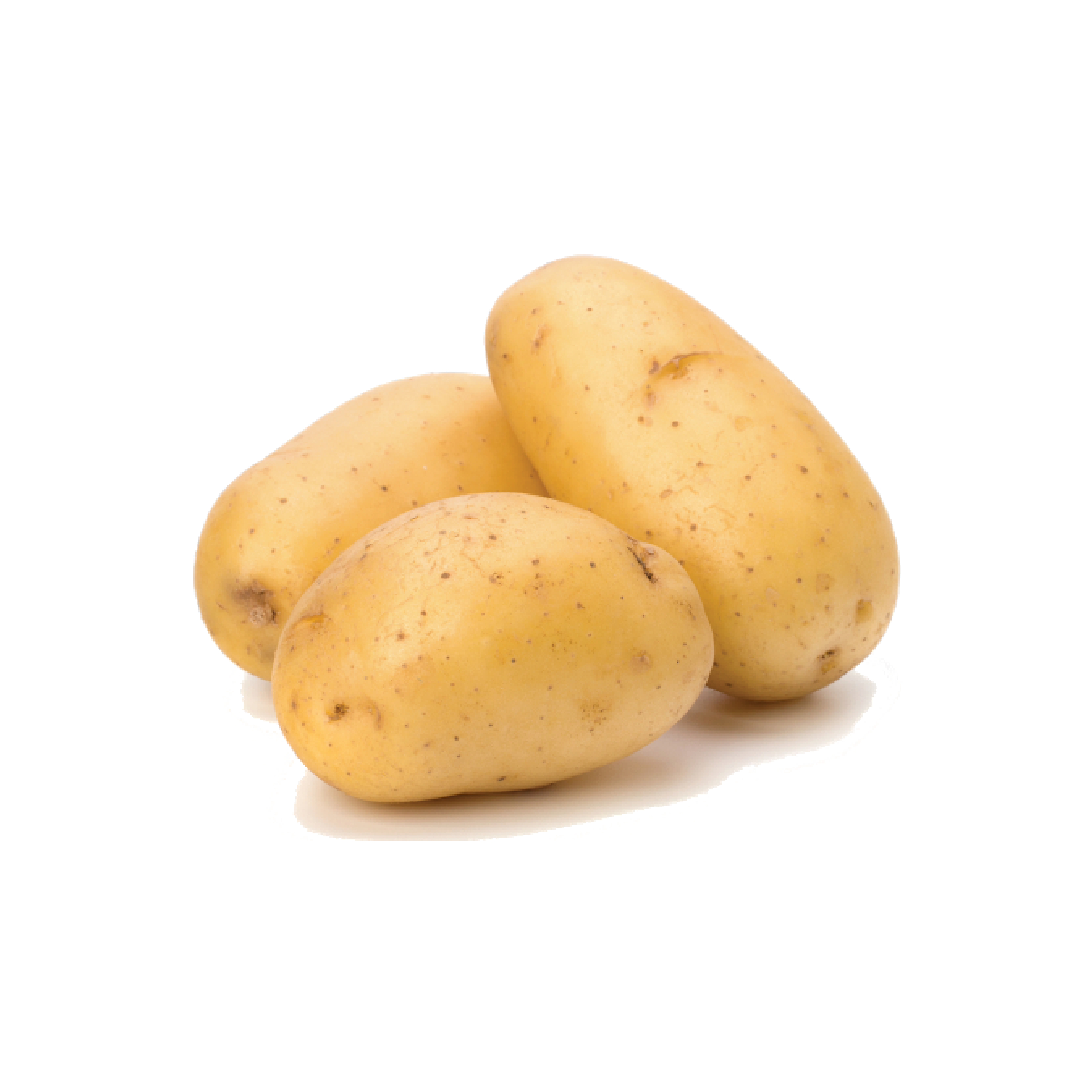 Potato