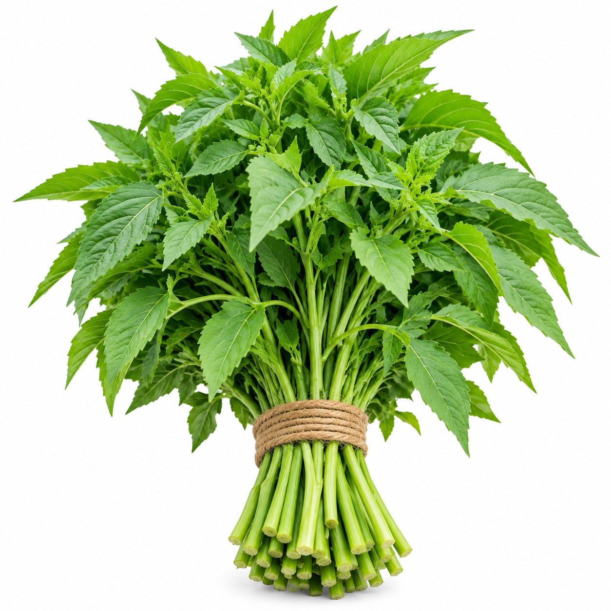Roselle Leaves (Pulicha Keerai)